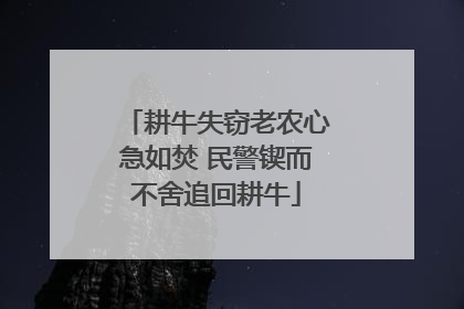 耕牛失窃老农心急如焚 民警锲而不舍追回耕牛