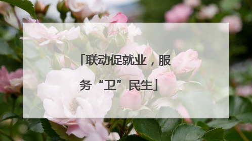 联动促就业，服务“卫”民生