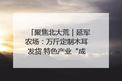 聚焦北大荒｜延军农场：万斤定制木耳发货 特色产业“成绩单”亮眼