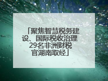 聚焦智慧税务建设、国际税收治理 29名非洲财税官湖南取经