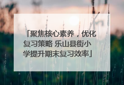 聚焦核心素养，优化复习策略 乐山县街小学提升期末复习效率