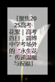 聚焦2025高考·花絮｜高考首日，淄博中学考场外的“永生花”传递温暖与祝福