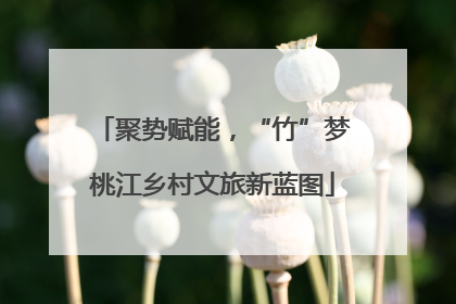 聚势赋能，“竹”梦桃江乡村文旅新蓝图