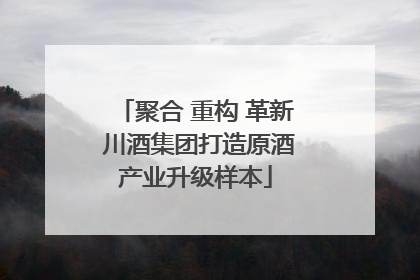 聚合 重构 革新 川酒集团打造原酒产业升级样本