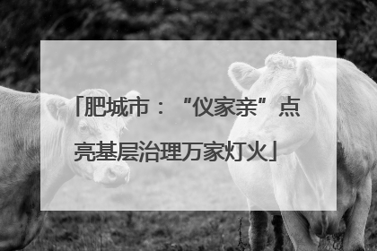肥城市：“仪家亲”点亮基层治理万家灯火