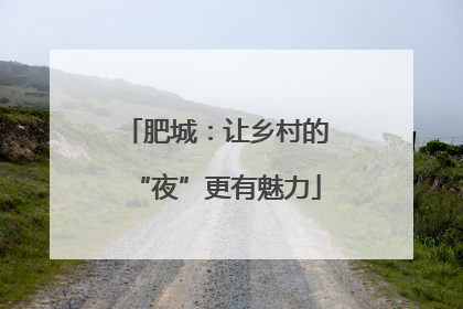 肥城：让乡村的“夜”更有魅力