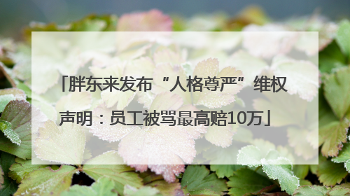 胖东来发布“人格尊严”维权声明：员工被骂最高赔10万