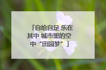 自给自足 乐在其中 城市里的空中“田园梦”