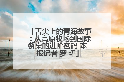 舌尖上的青海故事：从高原牧场到国际餐桌的进阶密码 本报记者 罗 珺