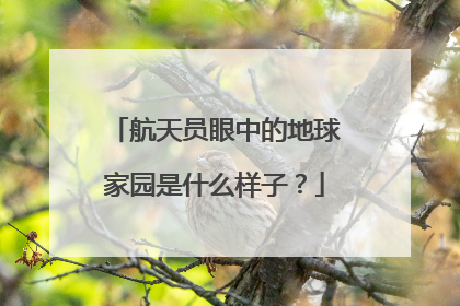 航天员眼中的地球家园是什么样子？