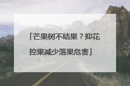 芒果树不结果？抑花控果减少落果危害