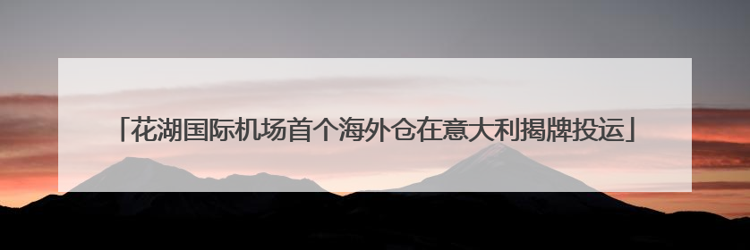 花湖国际机场首个海外仓在意大利揭牌投运