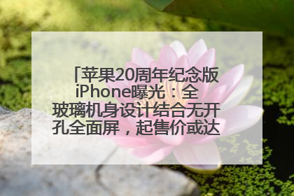 苹果20周年纪念版iPhone曝光：全玻璃机身设计结合无开孔全面屏，起售价或达1.45万人民币