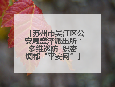 苏州市吴江区公安局盛泽派出所：多维巡防  织密绸都“平安网”