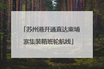 苏州港开通直达柬埔寨集装箱班轮航线