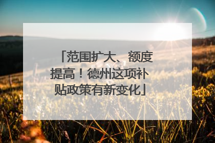范围扩大、额度提高！德州这项补贴政策有新变化