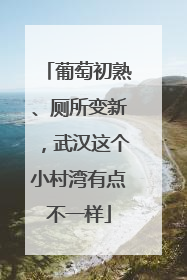 葡萄初熟、厕所变新，武汉这个小村湾有点不一样