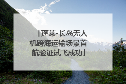 蓬莱-长岛无人机跨海运输场景首航验证试飞成功