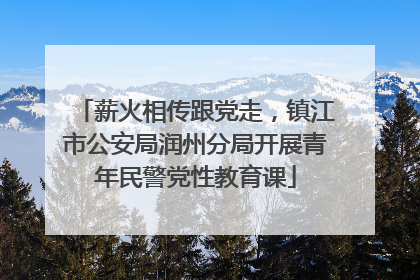 薪火相传跟党走，镇江市公安局润州分局开展青年民警党性教育课