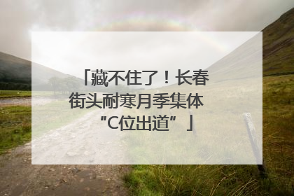 藏不住了！长春街头耐寒月季集体“C位出道”