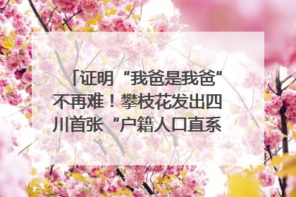 证明“我爸是我爸”不再难！攀枝花发出四川首张“户籍人口直系亲属关系谱”