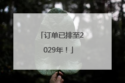 订单已排至2029年！