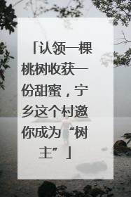 认领一棵桃树收获一份甜蜜，宁乡这个村邀你成为“树主”