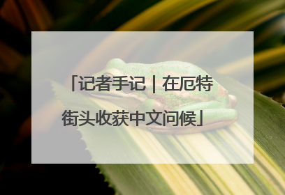 记者手记｜在厄特街头收获中文问候