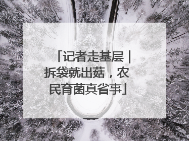 记者走基层｜拆袋就出菇，农民育菌真省事