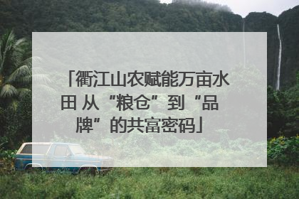 衢江山农赋能万亩水田 从“粮仓”到“品牌”的共富密码