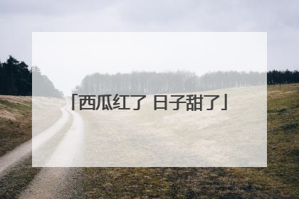 西瓜红了 日子甜了