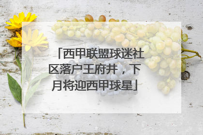 西甲联盟球迷社区落户王府井，下月将迎西甲球星