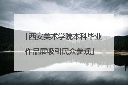 西安美术学院本科毕业作品展吸引民众参观