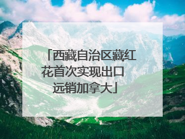 西藏自治区藏红花首次实现出口 远销加拿大