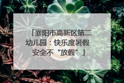 襄阳市高新区第二幼儿园：快乐度暑假 安全不“放假”
