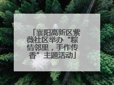 襄阳高新区紫薇社区举办“粽情邻里，手作传香”主题活动