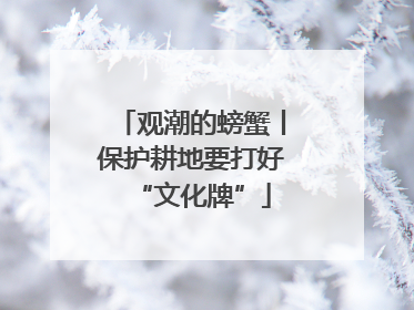 观潮的螃蟹丨保护耕地要打好“文化牌”
