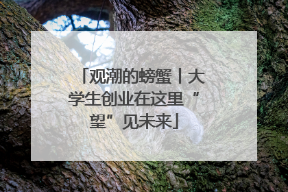 观潮的螃蟹丨大学生创业在这里“望”见未来