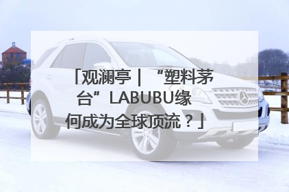 观澜亭｜“塑料茅台”LABUBU缘何成为全球顶流？