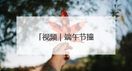 视频｜端午节撞档儿童节 重庆动物园萌娃看萌兽吃特色粽子大餐