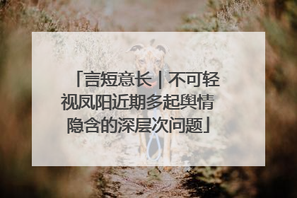 言短意长｜不可轻视凤阳近期多起舆情隐含的深层次问题