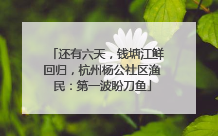 还有六天，钱塘江鲜回归，杭州杨公社区渔民：第一波盼刀鱼