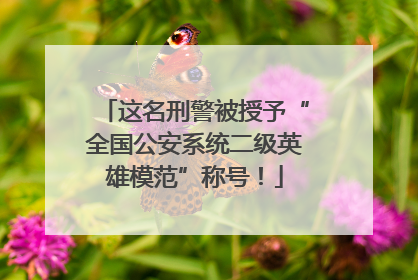 这名刑警被授予“全国公安系统二级英雄模范”称号！