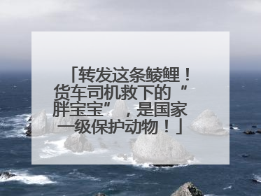 转发这条鲮鲤！货车司机救下的“胖宝宝”，是国家一级保护动物！