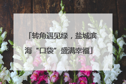 转角遇见绿，盐城滨海“口袋”盛满幸福