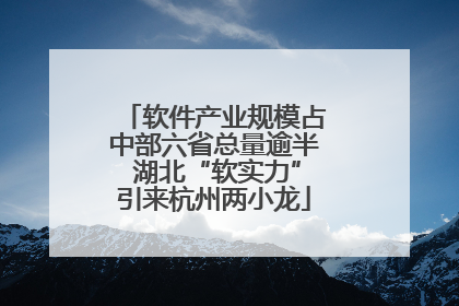 软件产业规模占中部六省总量逾半 湖北“软实力”引来杭州两小龙