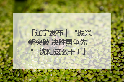 辽宁发布｜“振兴新突破 决胜勇争先” 沈阳这么干！