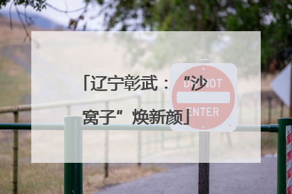 辽宁彰武：“沙窝子”焕新颜