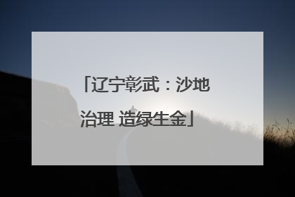辽宁彰武：沙地治理 造绿生金