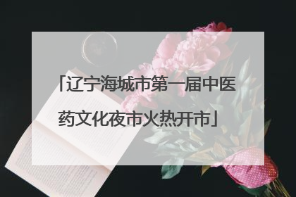 辽宁海城市第一届中医药文化夜市火热开市